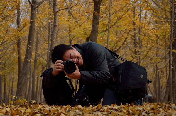 jxf吉祥坊(中国集团)官方网站