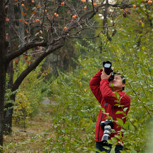 jxf吉祥坊(中国集团)官方网站