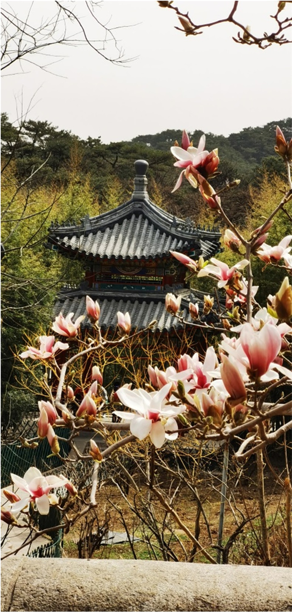 jxf吉祥坊(中国集团)官方网站