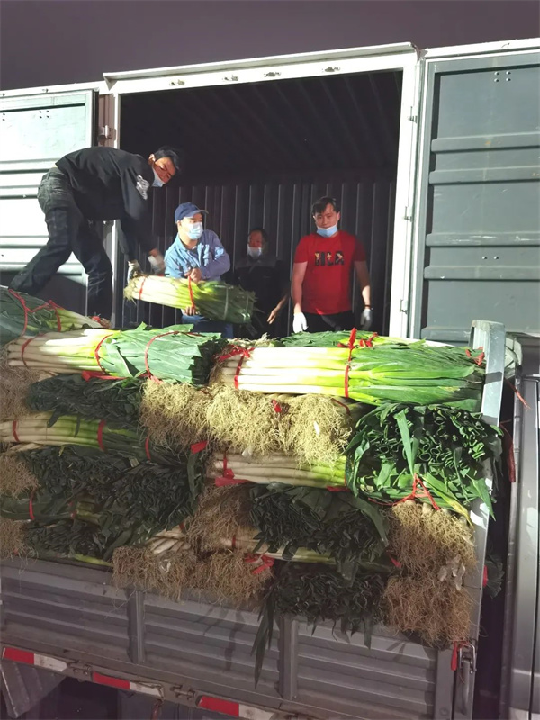 jxf吉祥坊(中国集团)官方网站