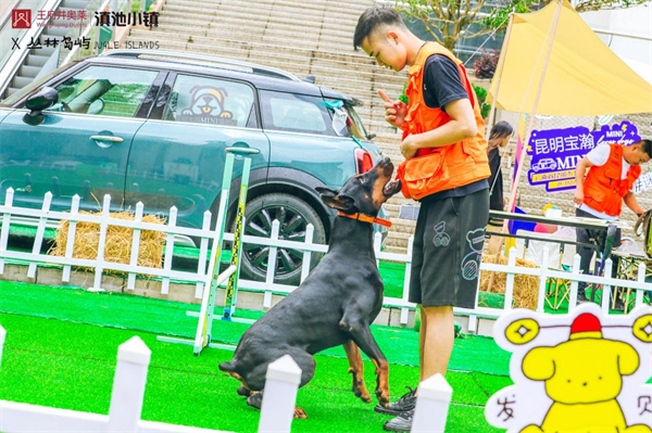 jxf吉祥坊(中国集团)官方网站