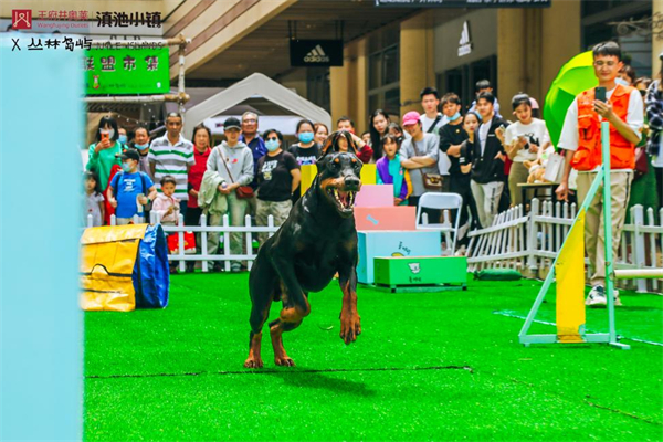 jxf吉祥坊(中国集团)官方网站