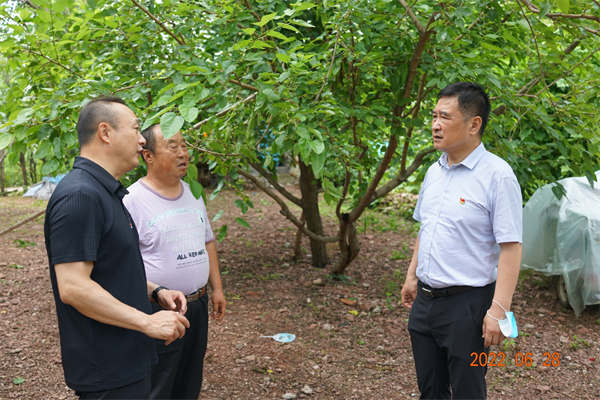 jxf吉祥坊(中国集团)官方网站