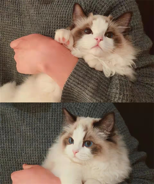 jxf吉祥坊(中国集团)官方网站